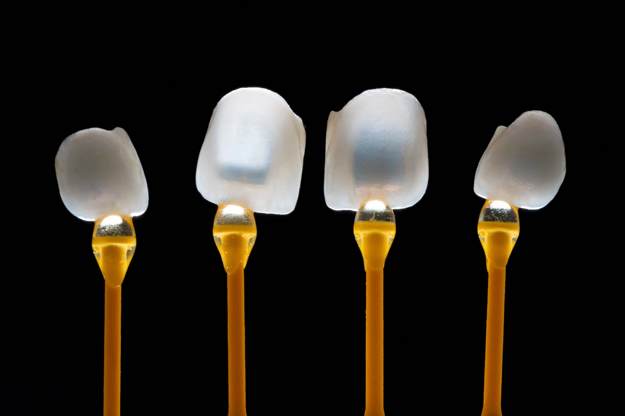 Quattro faccette dentali in ceramica per mostrare translucenza e forma